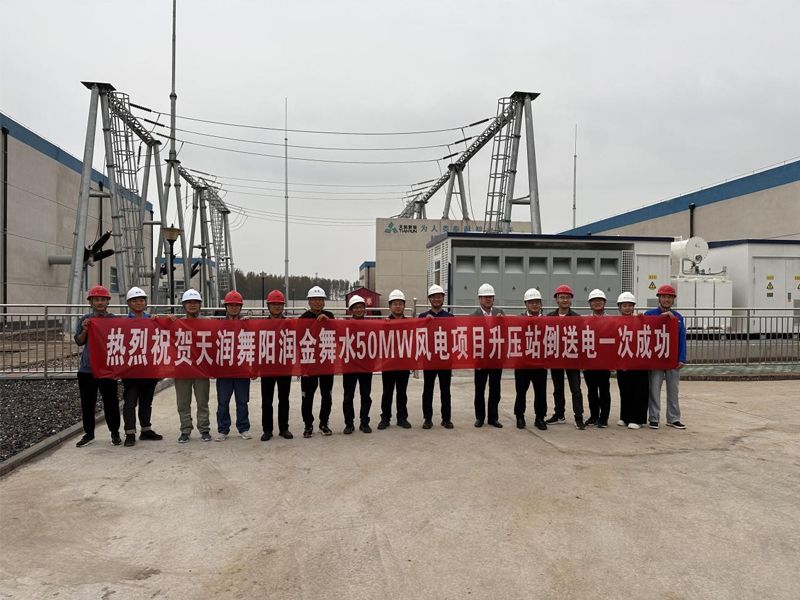 Tianrun Wuyang Runjin Wushui 50MW Wind Power Project Successfully Sends Power